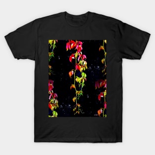 Virginia Creeper T-Shirt